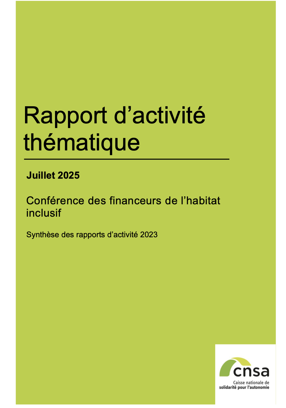Rapport de synthèse CNSA